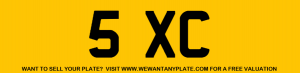 A premium 1x2 dateless plate - could be initials SKC or SEXY?